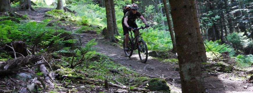 Mont Chemin: Col des Planches - Charrat