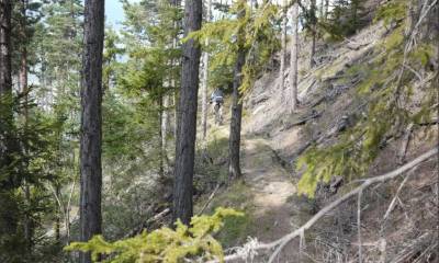 Bisse abandonné aux alentours de Rosswald