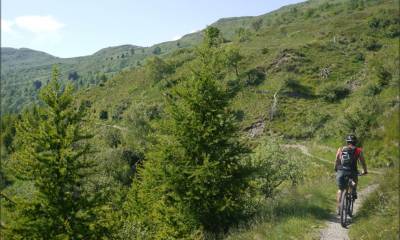 Le sentier roulant qui longe le pied du Gazzirola