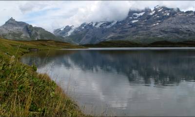 Le Tannensee