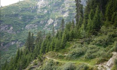 Le single vers Alp da Punteglias
