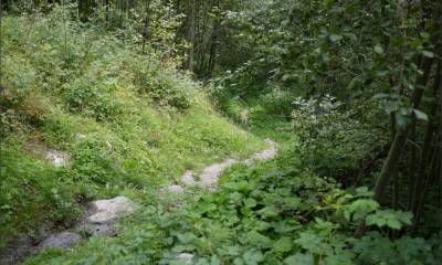 En direction de Trun...