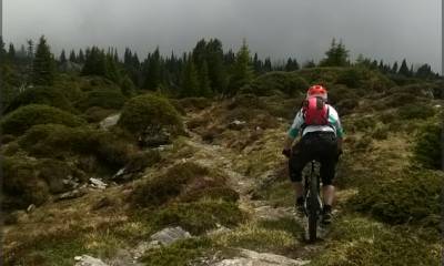 Panoramatrail