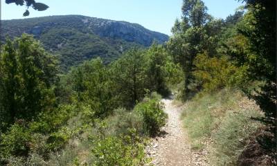 C´est bon et c´est beau...