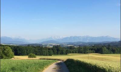Petite vue sur les Alpes