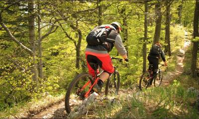 Beau trail fluide du Schalttenberg