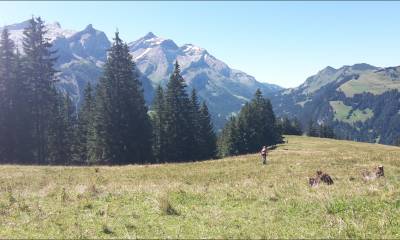La belle vie...